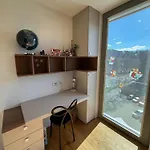 Penthouse - Garden